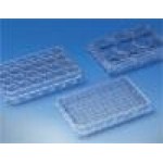 24-well Tissue Culture plate, treated, flat bottom, w/lid, individual Pkg. Sterile, 50/cs