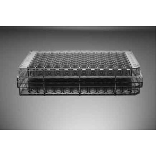 Vbottom 96well Tissue Culture Plate, 100/cs Biopioneer