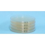 Custom LB Agar Plate