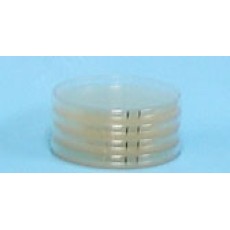 Pre-poured LB(Miller's) agar plate, Ampicillin 100ug/ml, 150mmx65ml
