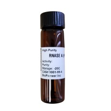 RNase A, 250mg