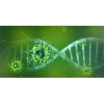 Biotinylated Recombinant SARS-CoV-2 Spike S1-Fc-Avi Protein, 50ug