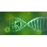 Recombinant SARS-CoV-2 Nucleocapsid Protein-His-Avi, 100ug