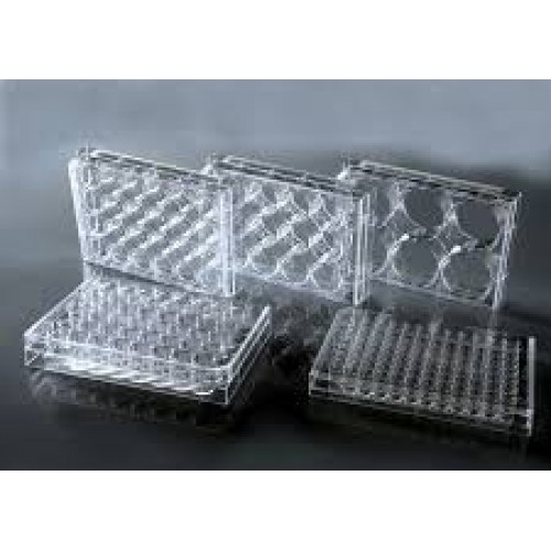 CellMAX 96 Well Cell Culture Plates, Individually Wrapped, 100/cs ...