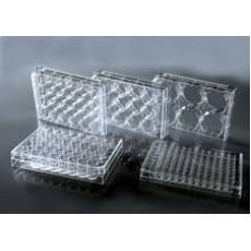 CellMAX 6 Well Cell Culture Plates, Individually Wrapped, 50/cs