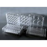 CellMAX 24 Well Cell Culture Plates, Individual Wrapped, 50/cs