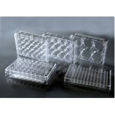 CellMAX 12 Well Cell Culture Plates, Individual Wrapped, 50/cs