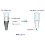 One-step RNA isolation reagent, 100ml