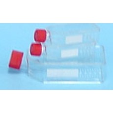 T175 Tissue culture flasks with filter, 5/sleeve, 40/case
