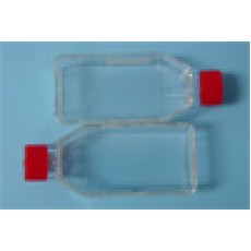T-25 Tissue culture flasks with filter, 20/sleeve, 300/case