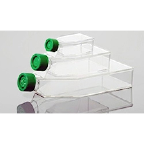 CellMAX T175 Cell Culture Flask, 5/pk, 40/cs Biopioneer
