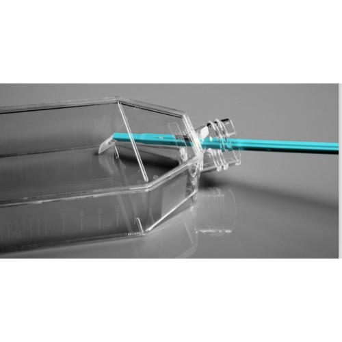 Cell Scraper, 280mmx20mm, 100/pk Biopioneer