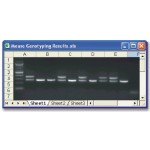 Mouse Genotyping Service