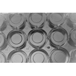 Glass Bottom Cell Culture Dish, F 15mm,TC, sterile 10/pk, 200/cs