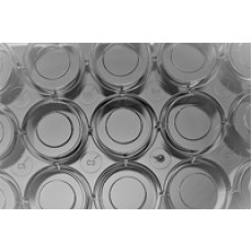 Glass Bottom Cell Culture Dish, F 15mm,TC, sterile 10/pk, 200/cs