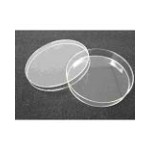 10cm Petri Dishes