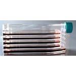5-layer Cell Culture Flasks, Plug Seal, 8/cs