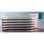 Multi-layer Cell Culture Flasks, Vent Cap, 8/cs