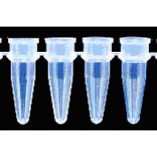 0.2mL PCR Tubes (Domed Caps)