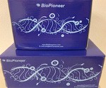 Genomic DNA miniprep kit for bacteria, 100 preps