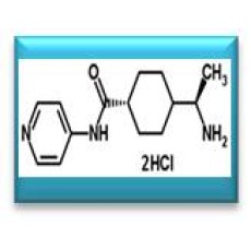 Y27632, 1.61mg