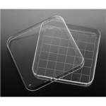 Square Petri Dish, 100 x 100 x 15mm, 10/slv, 50 slv/cs