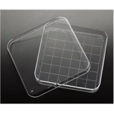 Square Petri Dish, 100 x 100 x 15mm, 10/slv, 50 slv/cs