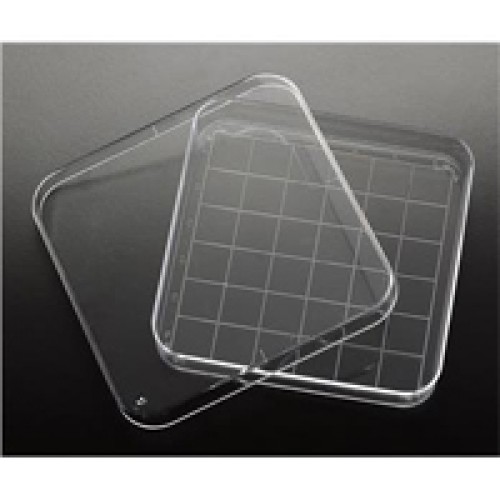 Square Petri Dish, 100 x 100 x 15mm, 10/slv, 50 slv/cs Biopioneer